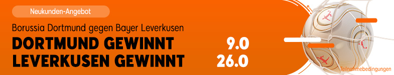 Banner Dortmund - Leverkusen