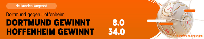 Banner Dortmund-Hoffenheim
